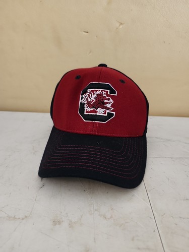 South carolina gamecocks - south,